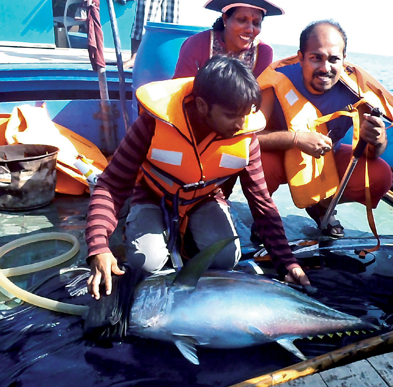 Tracking Yellowfin Tuna